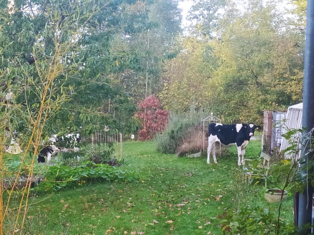 La Bruyere Du Coq Stables Guest House Sart-Dames-Avelines Luaran gambar